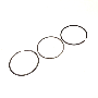 Engine Piston Ring